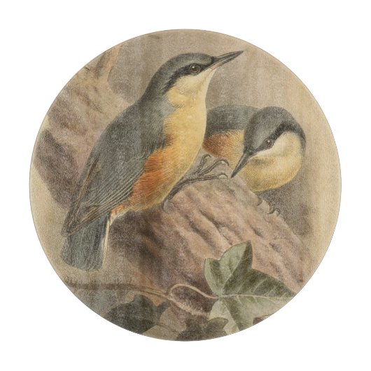 Vintage NuthatchIllustration Schneidebrett (Vorderseite)