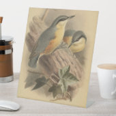 Vintage NuthatchIllustration Sockelschild (In Situ)