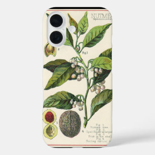 Vintage Nutmeg Pflanze Fruchtsaat, Gewürze für Leb iPhone 16 Hülle