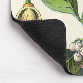 Vintage Nutmeg Pflanze Fruchtsaat, Gewürze für Leb Mousepad (Ecke)