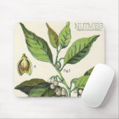 Vintage Nutmeg Pflanze Fruchtsaat, Gewürze für Leb Mousepad (Mit Mouse)
