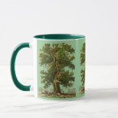 Vintage-Oak-Baum-Kaffeetasse Tasse (Links)