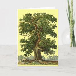 Vintage Oak Tree Art Blank Card Karte