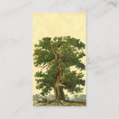 Vintage Oak Tree Custom Business Card Visitenkarte (Rückseite)