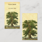 Vintage Oak Tree Custom Business Card Visitenkarte (Vorne/Hinten)
