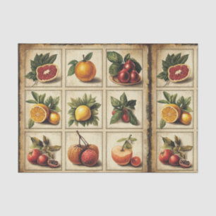 Vintage Obst Botanisches Gitter-Decoupage Seidenpapier