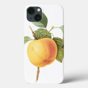 Vintage Obst Essen, Calville Apfel von Redoute Case-Mate iPhone Hülle