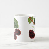 Vintage Obstbäume, reife Kirschen aus einem Baum Kaffeetasse (Mittel)