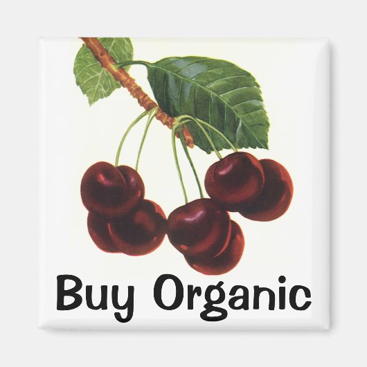 Vintage Obstbäume, reife Kirschen aus einem Baum Magnet (Vorne)