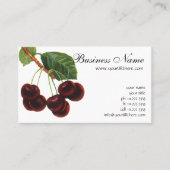 Vintage Obstbäume, reife Kirschen aus einem Baum Visitenkarte (Vorderseite)