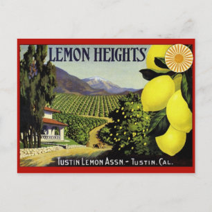 Vintage Obstkisten-Etikett Postkarte