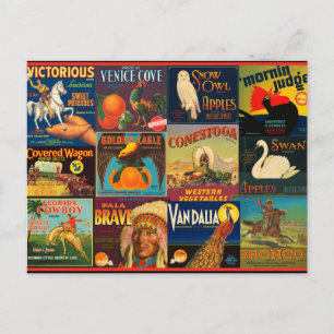 Vintage Obstkistenetiketten Postkarte