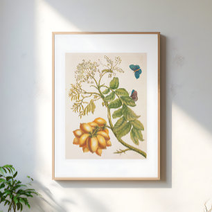 Vintage Obstpflanze mit Schmetterlingen Kunst Poster