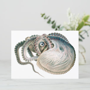 Vintage Octopus Argonaut, Meerestiere