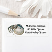 Vintage Octopus Argonaut, Meerestiere (Insitu)