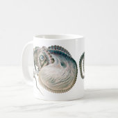 Vintage Octopus Argonaut, Meerestiere Kaffeetasse (Vorderseite Links)