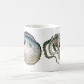 Vintage Octopus Argonaut, Meerestiere Kaffeetasse (Mittel)
