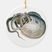 Vintage Octopus Argonaut, Meerestiere Keramik Ornament (Hinten)