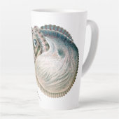 Vintage Octopus Argonaut, Meerestiere Milchtasse (Rechte Ecke)