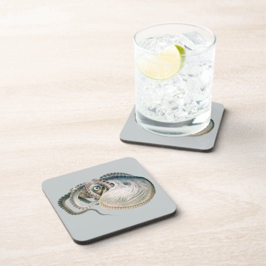 Vintage Octopus Argonaut, Meerestiere Untersetzer (Rechte Seite)