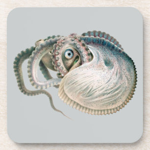 Vintage Octopus Argonaut, Meerestiere Untersetzer
