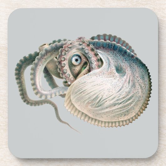 Vintage Octopus Argonaut, Meerestiere Untersetzer (Vorderseite)
