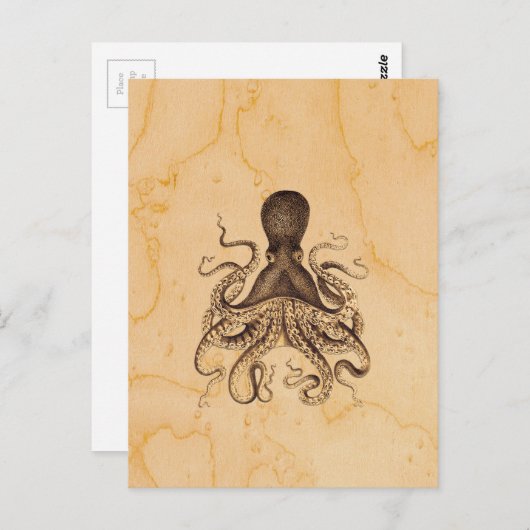 Vintage Octopus-Illustration in Braun Postkarte (Vorne/Hinten)