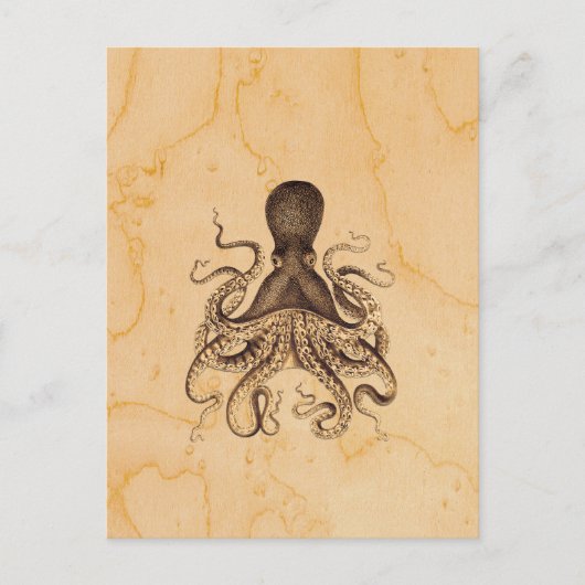 Vintage Octopus-Illustration in Braun Postkarte (Vorderseite)