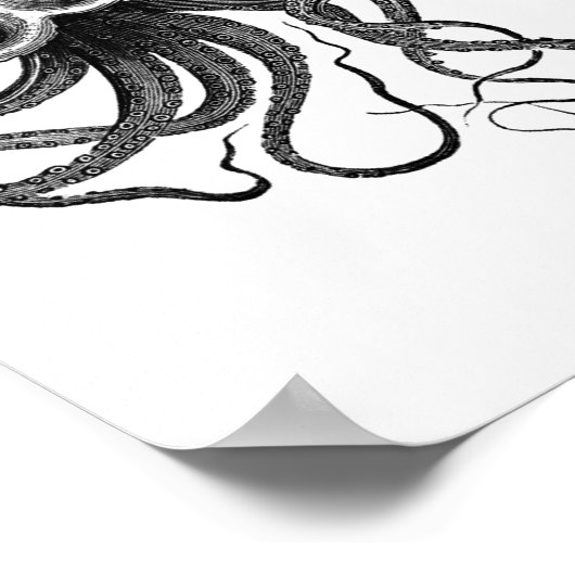 Vintage Octopus-Illustration Poster (Ecke)