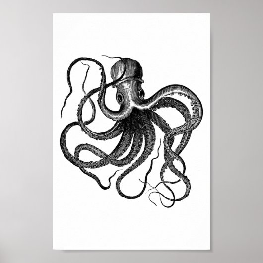 Vintage Octopus-Illustration Poster (Vorne)