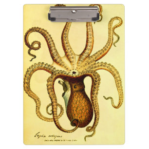 Vintage Octopus Nr. 46 Dark Academia Naturalist Klemmbrett