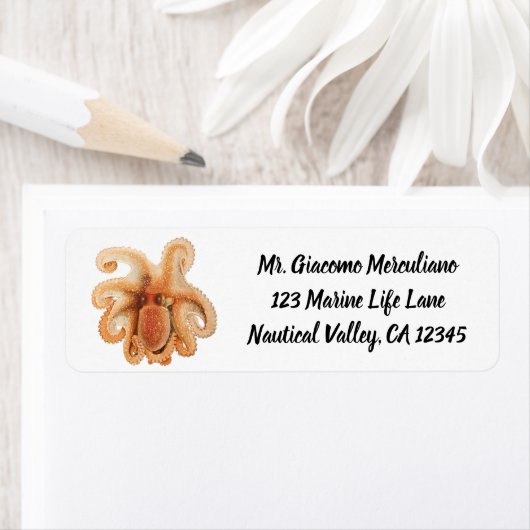 Vintage Octopus Salutii, Meerwassertiere (Insitu)