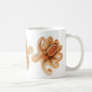 Vintage Octopus Salutii, Meerwassertiere Kaffeetasse