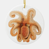 Vintage Octopus Salutii, Meerwassertiere Keramik Ornament (Vorne)