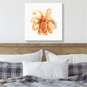 Vintage Octopus Salutii, Meerwassertiere Leinwanddruck (Insitu (Schlafzimmer))