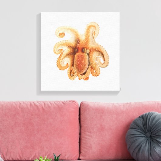 Vintage Octopus Salutii, Meerwassertiere Leinwanddruck (Insitu (Wohnzimmer))