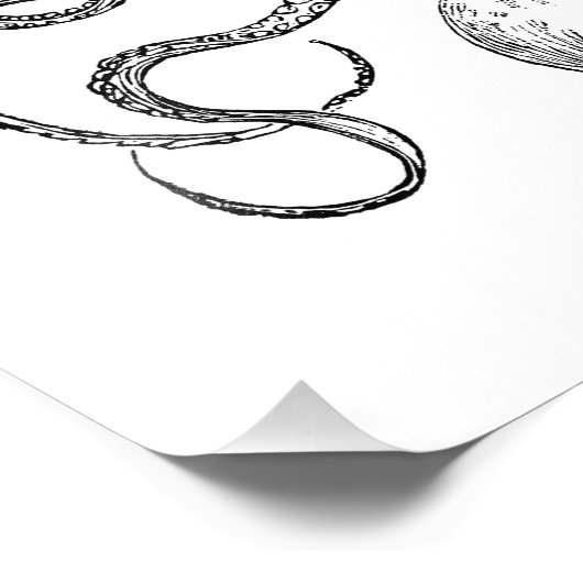 Vintage Octopus-Vorlage Fotodruck (Ecke)