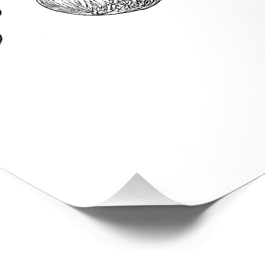 Vintage Octopus-Vorlage Fotodruck (Ecke)