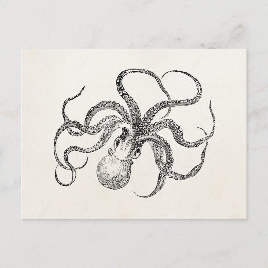 Vintage Octopus-Vorlage für antikes Papier Postkarte (Vorderseite)