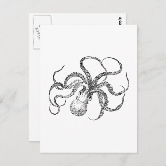 Vintage Octopus-Vorlage Postkarte (Vorne/Hinten)