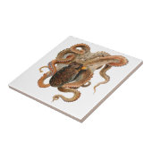 Vintage Octopus Vulgaris, Meerestiere Fliese (Seite)