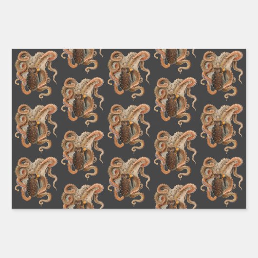 Vintage Octopus Vulgaris, Meerestiere Geschenkpapier Set (Vorderseite)