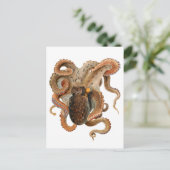 Vintage Octopus Vulgaris, Meerestiere Postkarte (Stehend Vorderseite)