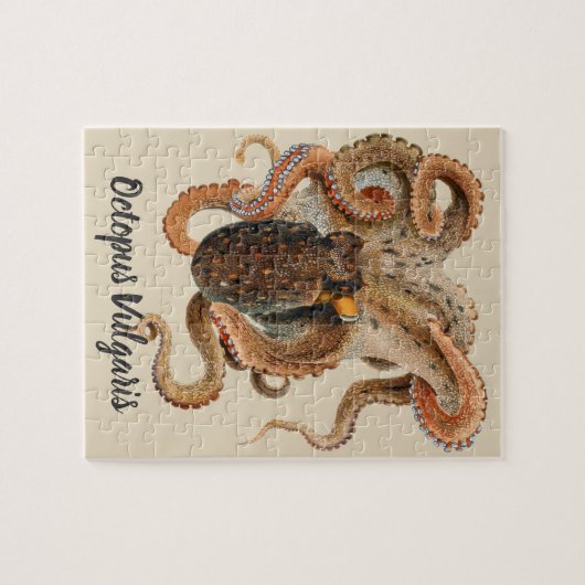Vintage Octopus Vulgaris, Meerestiere Puzzle (Horizontal)
