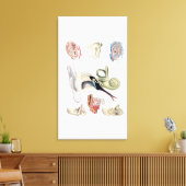 Vintage Ohranatomie Leinwanddruck (Insitu (Wohnzimmer))