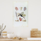 Vintage Ohranatomie Poster (Küche)