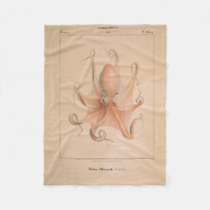 Vintage-Oktopus 1851 Eledon Aldrovandi Fleecedecke