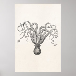 Vintage Oktopus Achtarmiger Tintenfisch Poster