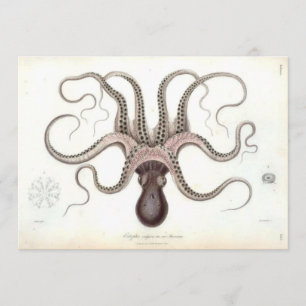 Vintage Oktopus-Einladung Einladung