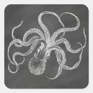 Vintage-Oktopus-Kreidetafel-Hintergrundvorlage Quadratischer Aufkleber